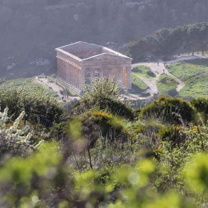 Visit the Temple of Segesta Greek temple in Sicily