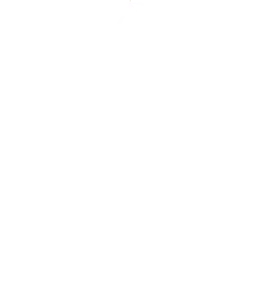 The place world