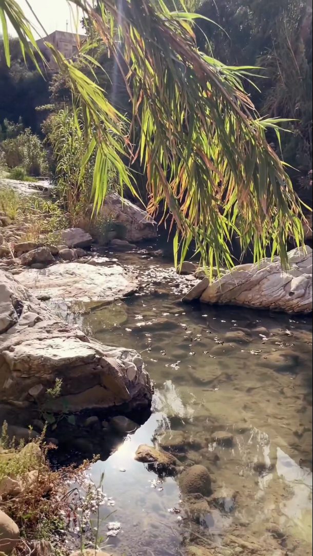 Discover the Natural Hot Springs of #Segesta
It is just 30 min drive from our #kitesurf spot
Nestled in the serene countryside of Sicily, the natural hot springs of Segesta offer a relaxing escape surrounded by breathtaking landscapes and ancient history. These springs, known locally as Terme Segestane, are a hidden gem for travelers seeking tranquility and rejuvenation.

Tips for Visiting:

Bring Essentials:
 Pack a towel, swimsuit, and water shoes for comfort and safety. some snacks and drinks.

Best Time to Visit: 
Early morning or late evening offers a peaceful experience, avoiding crowds and enjoying cooler air.

Respect Nature:
 While the springs are a natural wonder, it’s important to leave no trace and preserve the beauty for future visitors.

#kitesurfing #sicily #sicilia #terme
