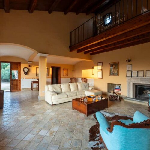 WhatsApp Image 2026-02-12 at 12.36.23 (1)