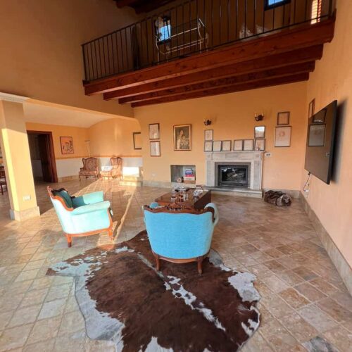 WhatsApp Image 2026-02-12 at 12.36.24