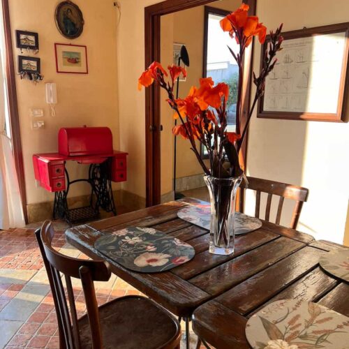 WhatsApp Image 2026-02-12 at 12.36.26 (2)